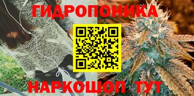 меф VHQ Будённовск